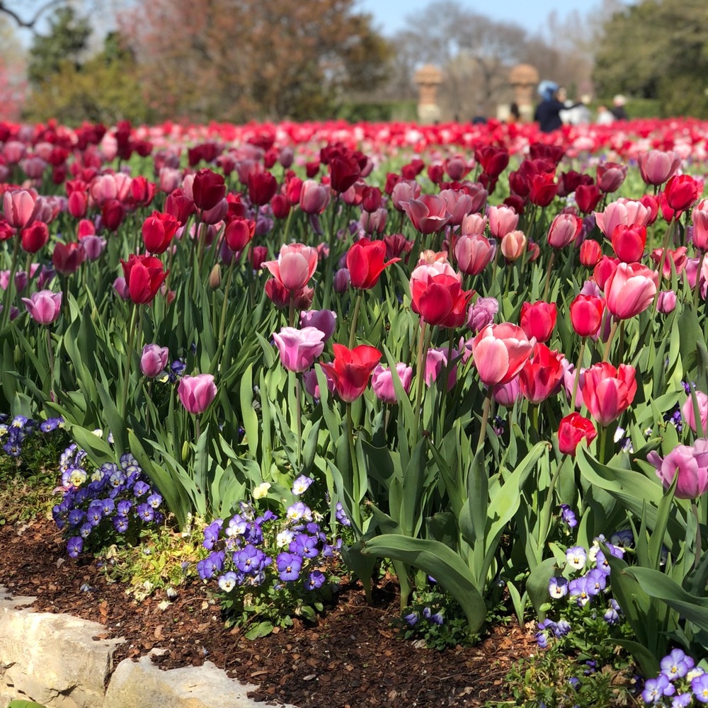 Meet your Posher, Suzzan